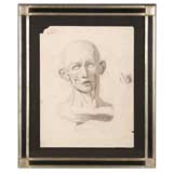 Framed Signed Drawing of a Skeleton of a Head