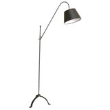 Floor Lamp with Adjustable Shepherds Crook Arm