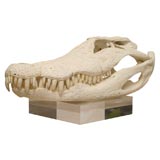 Alligator Skull on Lucite Stand