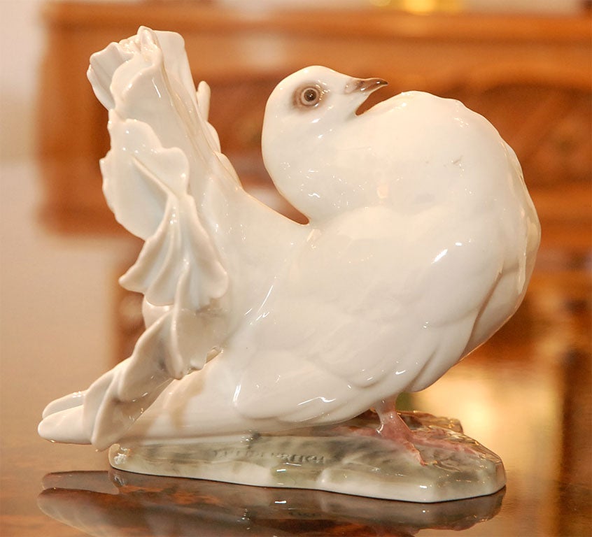 20th Century Matched pair of porcelain doves by Rosenthal