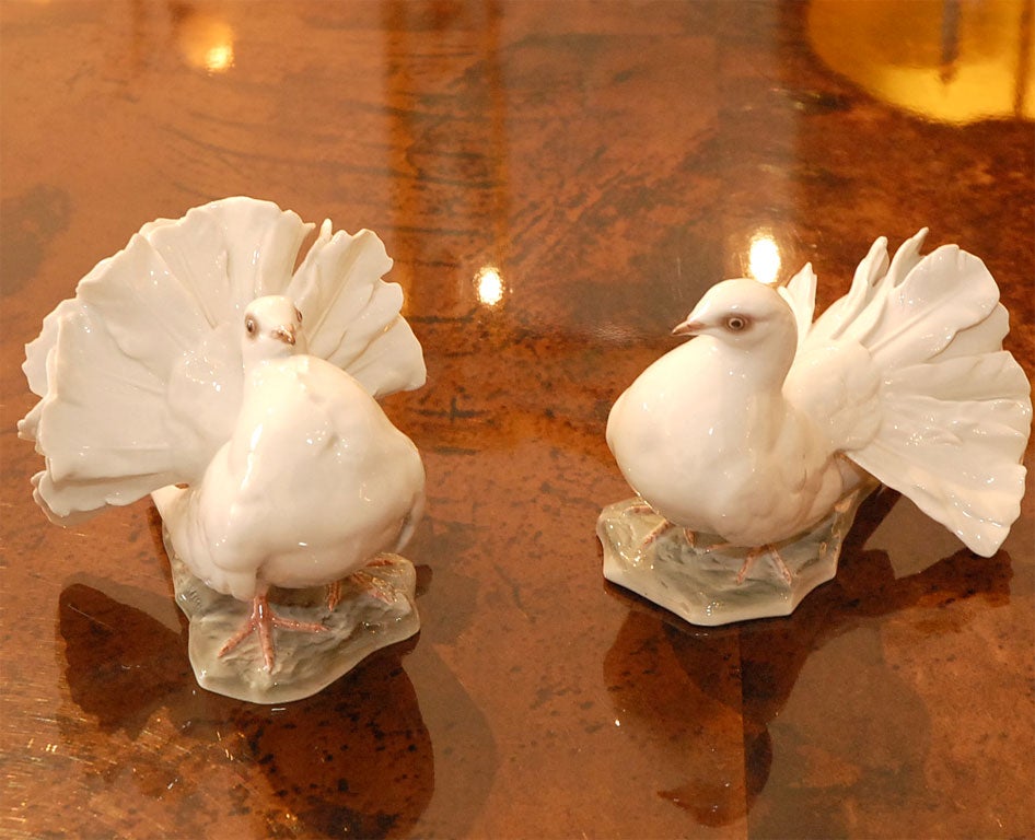 Matched pair of porcelain doves by Rosenthal 5