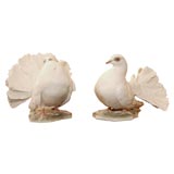 Matched pair of porcelain doves by Rosenthal