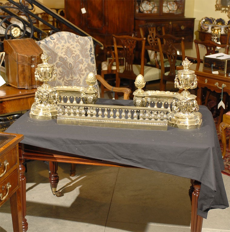 Pair of 19th Century Brass Chenets and Fender