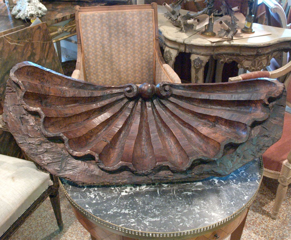 Carved Wood Shell