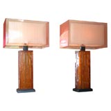 Pair of Contemporary Resin Lamps