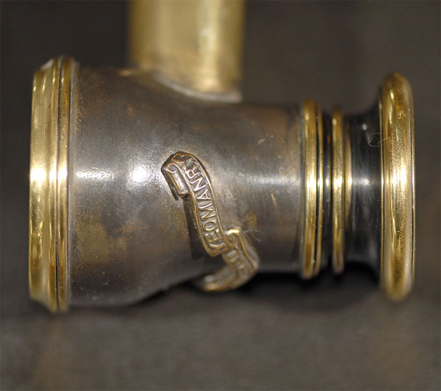 Walking Stick/Gadget Cane Monocular 2