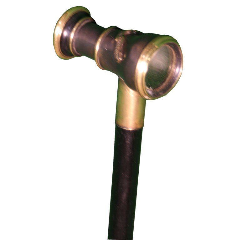 Walking Stick/Gadget Cane Monocular