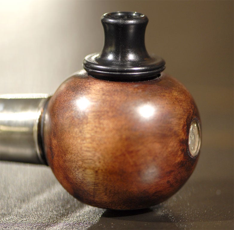 English Walking Stick/Gadget Cane SIREN
