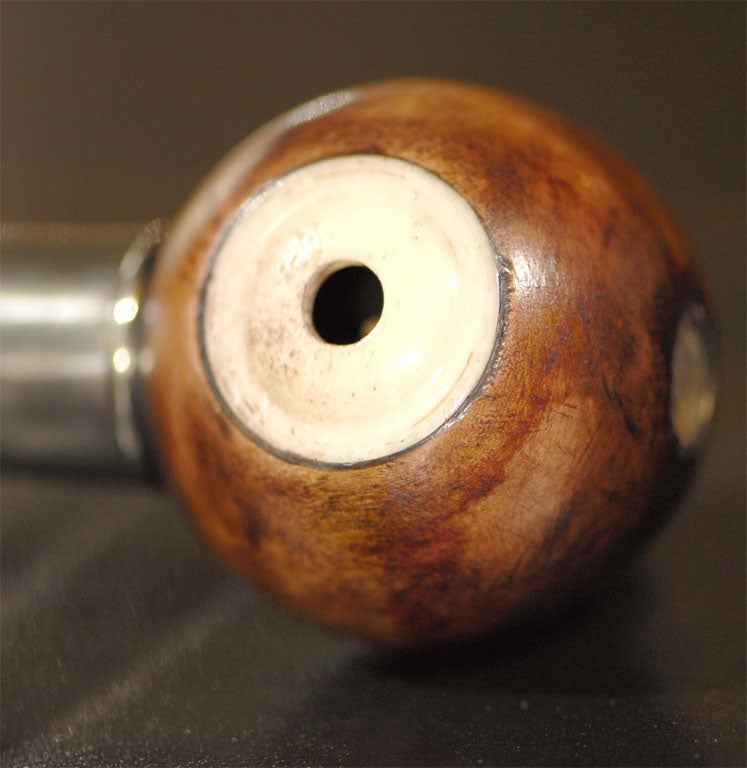 20th Century Walking Stick/Gadget Cane SIREN