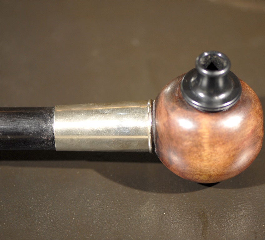 Ebony Walking Stick/Gadget Cane SIREN