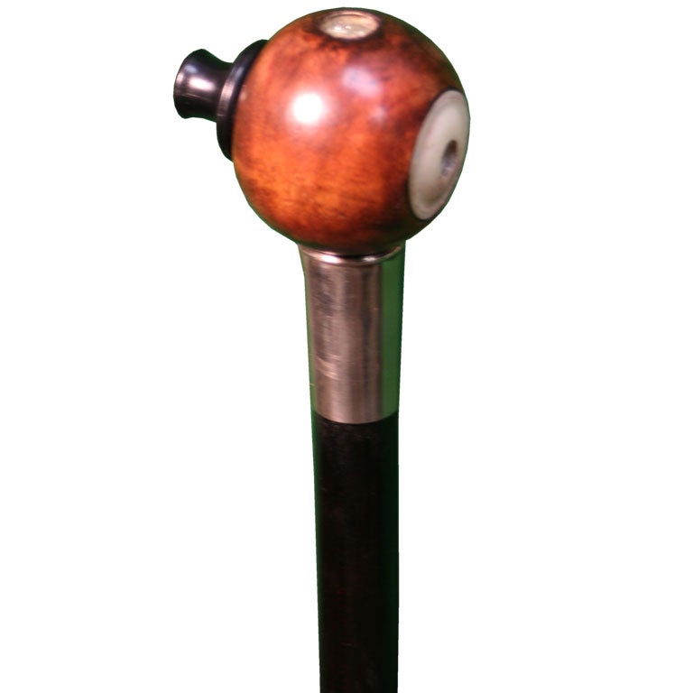 Walking Stick/Gadget Cane SIREN