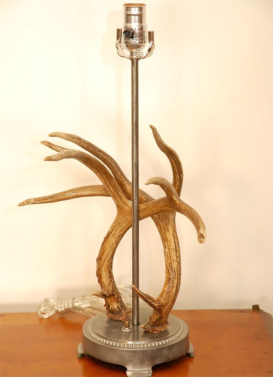 An interesting table lamp with deer horns and a footed metal base. It now has the right hide shade on it.  We can always send you a picture!