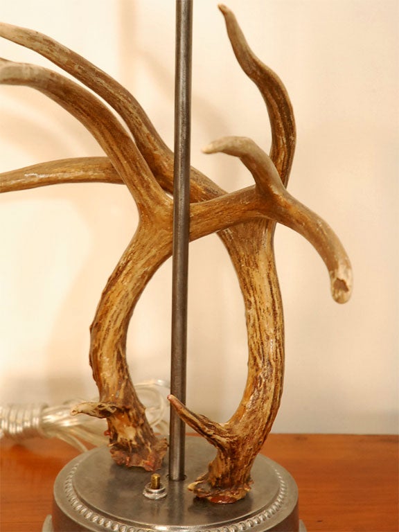 Country Antler Table Lamp For Sale
