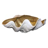 1970's Italian Porcelain Scallop Shell