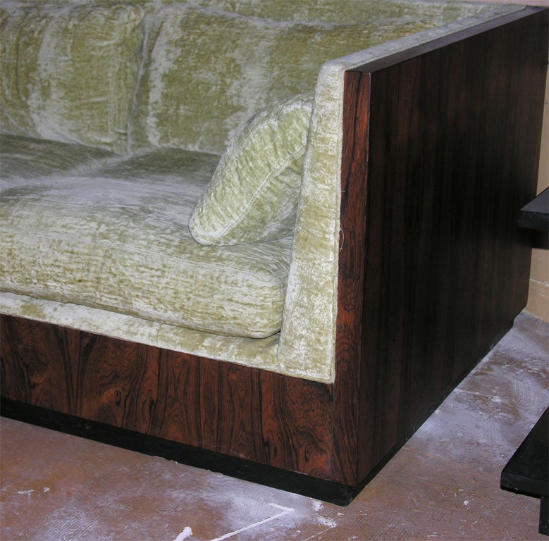 Rosewood Tuxedo Sofa by Milo Baughman for Thayer Coggin