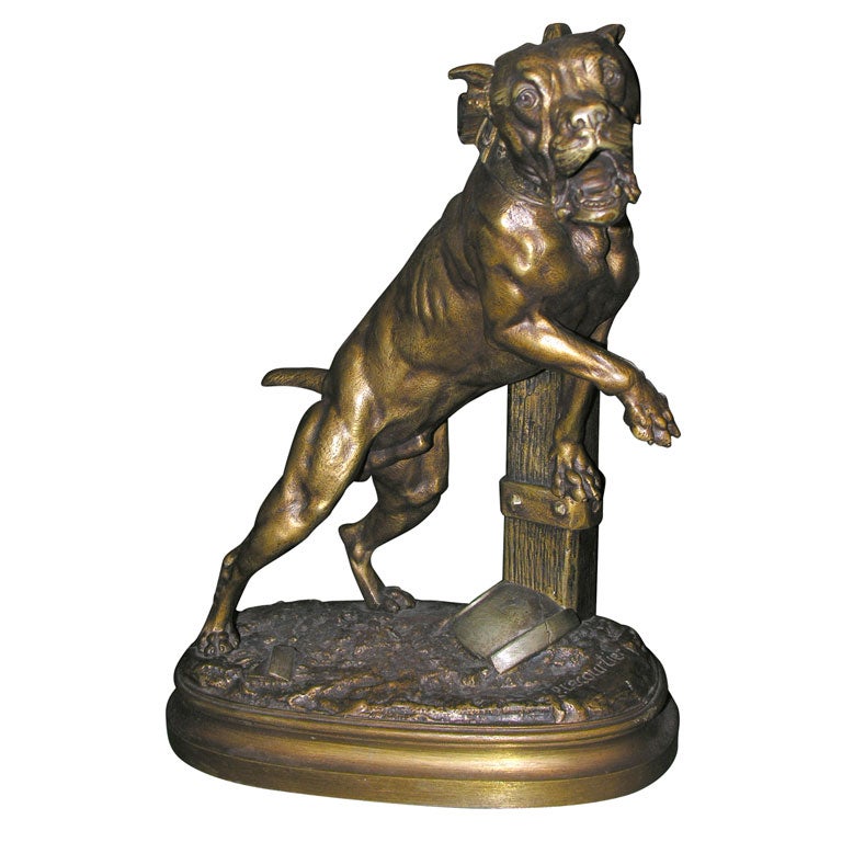French Bronze Pitbull