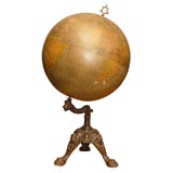 Bronze-footed Globe