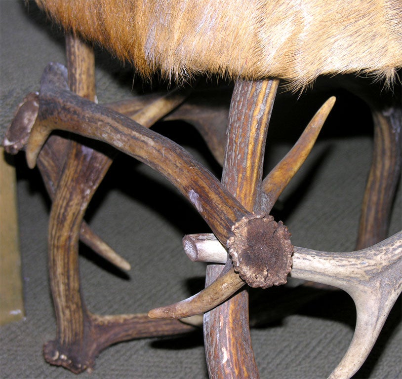 Pair of Elk Hair & Antler Stools In Excellent Condition In Mt. Kisco, NY