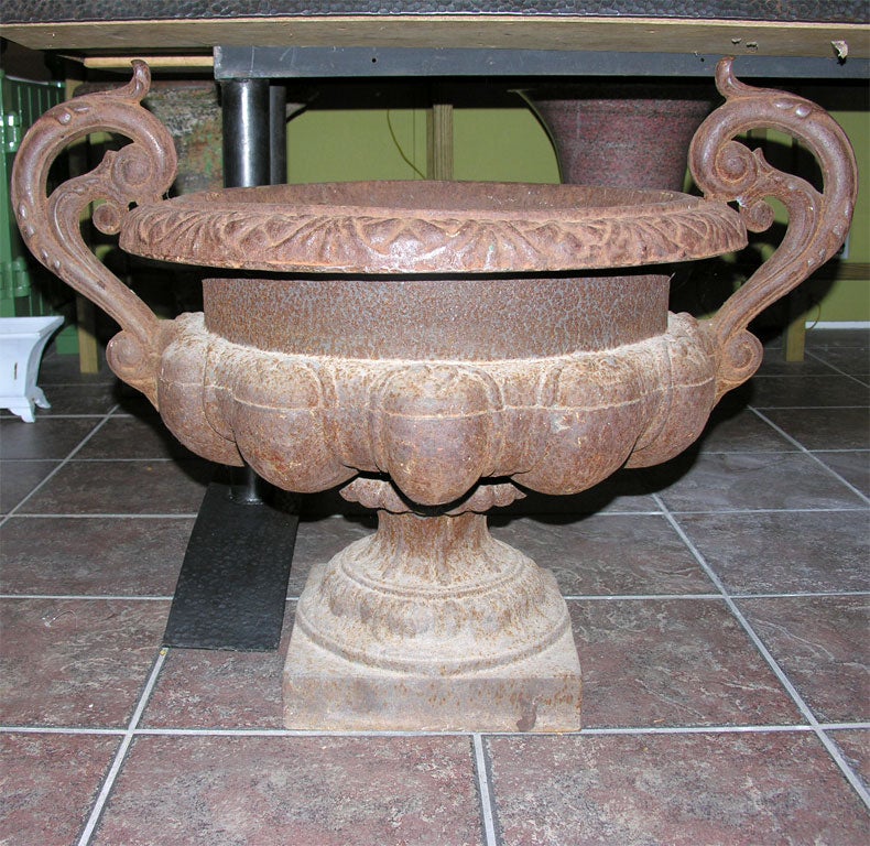Pair of Gadrooned Cast Iron Urns