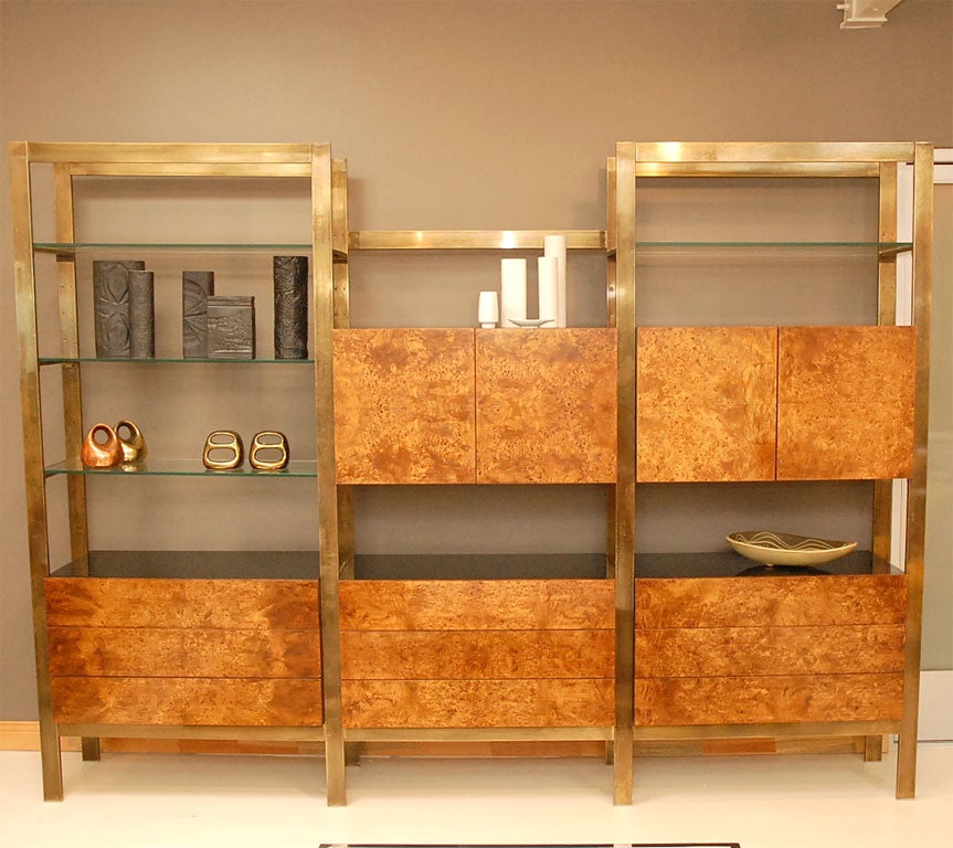 Brass & Olive Burl Wall Bookcase & Storage Unit
