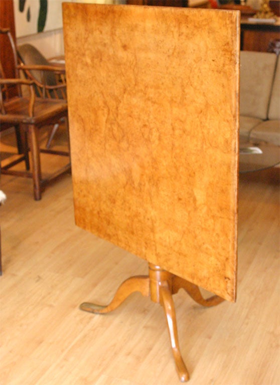 Square, tilt top, pedestal table on tripod base with finely pieced alder-root top, and birch wood base