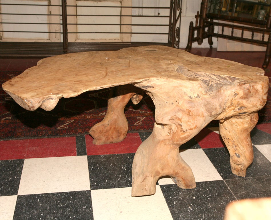 COFFEE TABLE MADE FROM NATURAL TREE ROOT.  TREE ROOT IS MANY CENTURIES OLD.