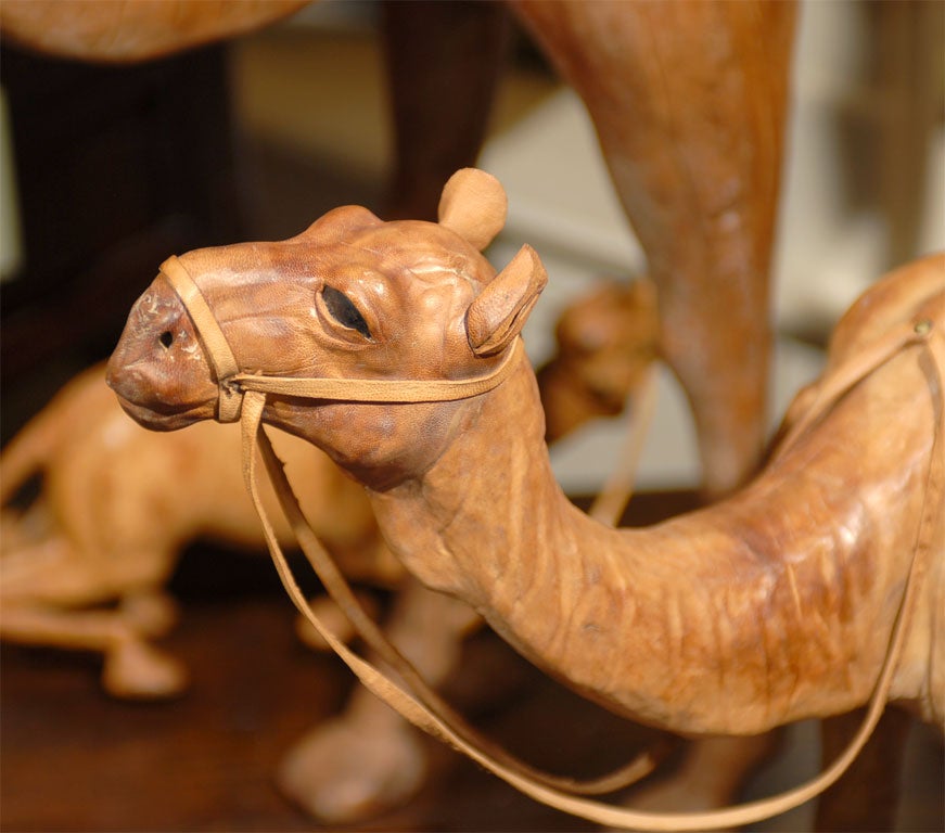 Set of Three Leather Camels 6
