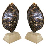 Pair Table Lamps with Mounted Tortoise Shells by Karl Springer
