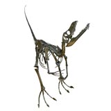 Dinosaur fossil sculpture