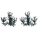 Pair of coral-inspired sconces