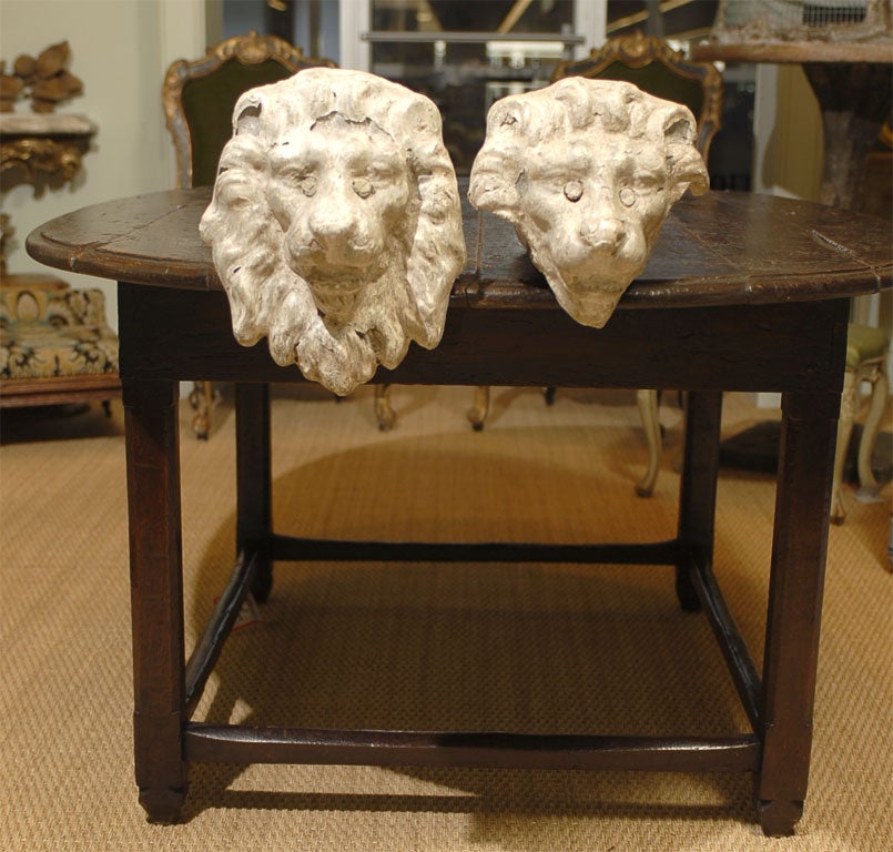 Lions heads plaques