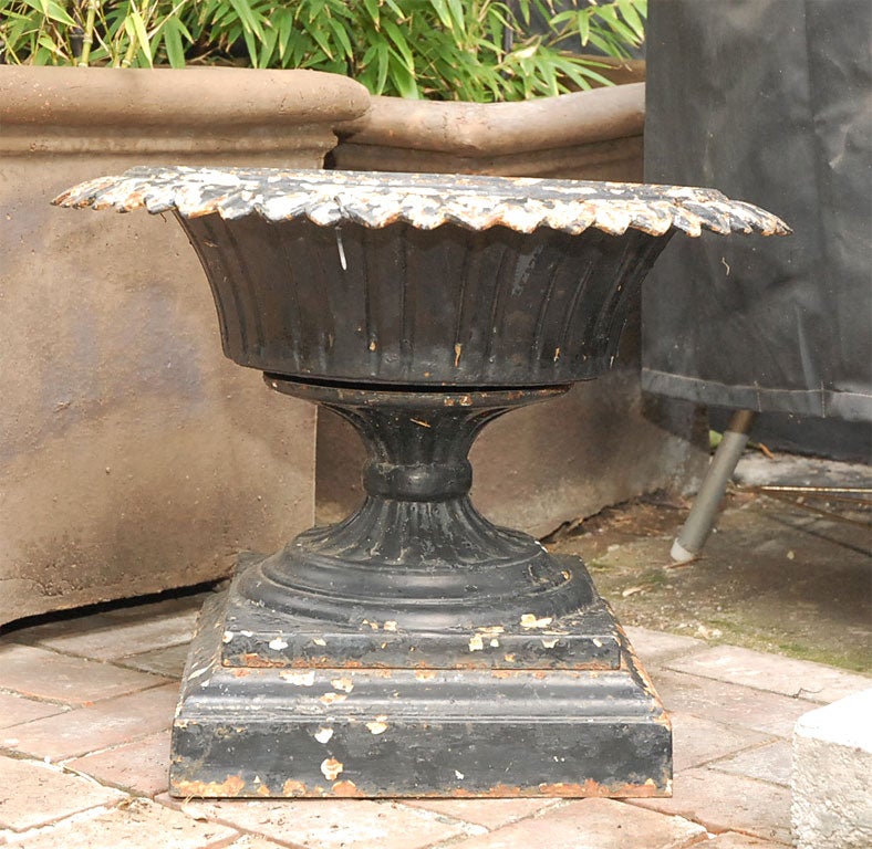 English Black Iron Urn from Late 19th Century England 