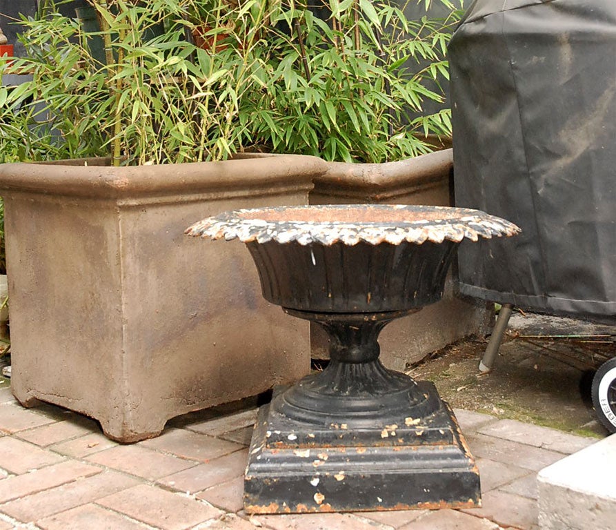 Black Iron Urn from Late 19th Century England  In Good Condition In Los Angeles, CA