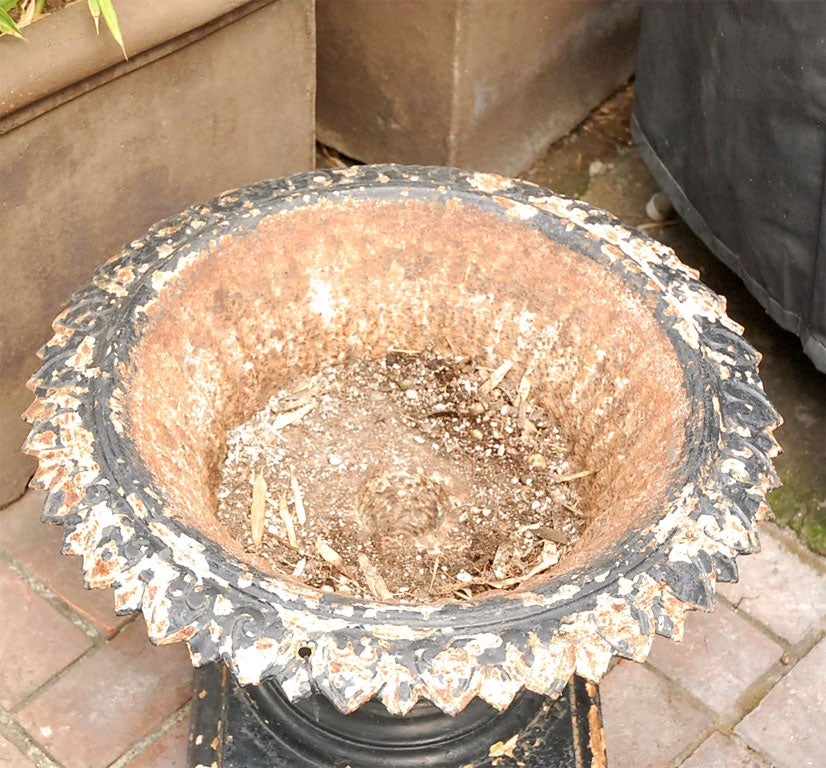 Black Iron Urn from Late 19th Century England  1