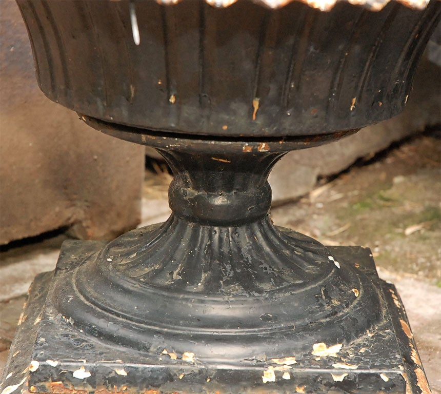 Black Iron Urn from Late 19th Century England  5