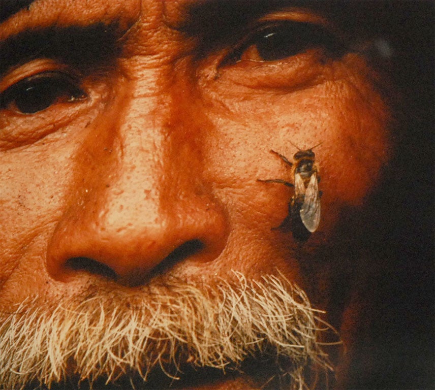Photograph by Éric Valli For Sale 2