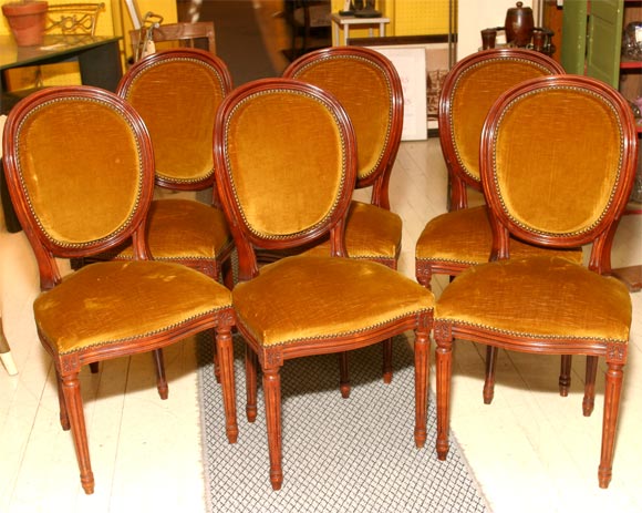Set of Six Louis XV I Style Dining Chairs