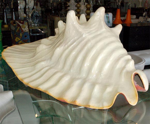 paper mache seashell