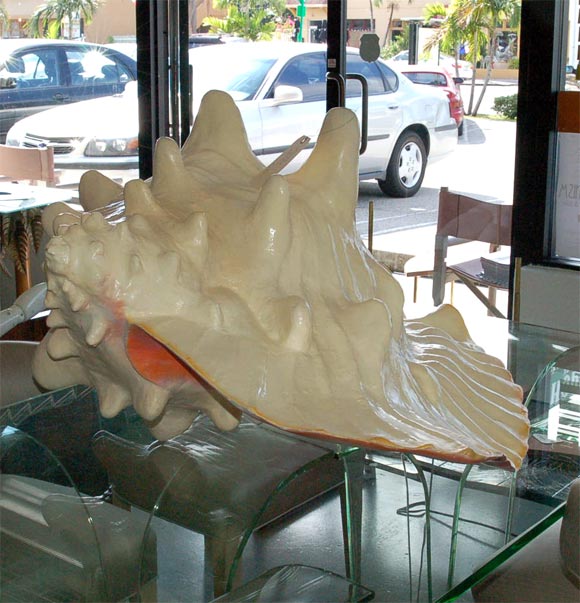 Unknown Monumental paper mache sea shell
