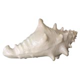 Monumental paper mache sea shell