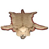Large Antique Lion Skin Rug