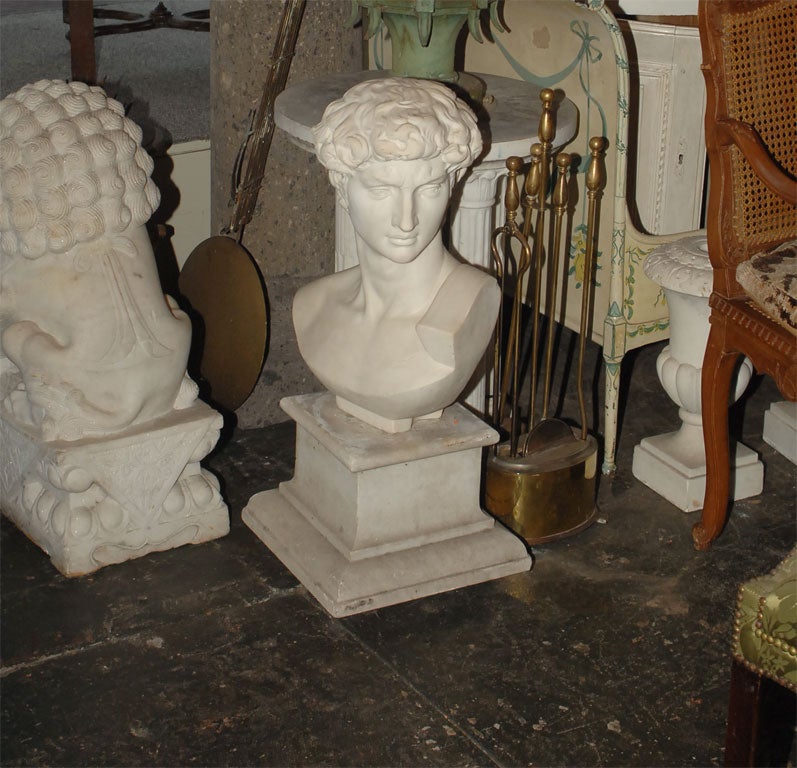 Grand Tour Marble Bust of David