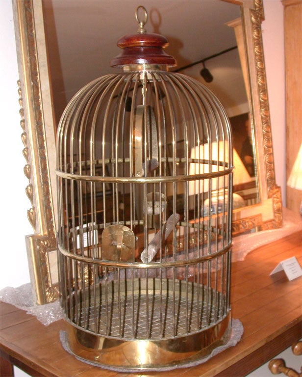 Decorative brass bird cage in a pleasing circular shape with thick, highly polished brass trim on base and a later wood cap.