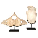 Vintage Whale Bones Mounted on Stands