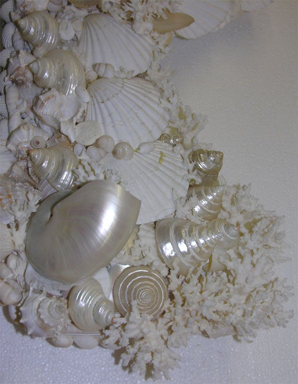 Seashell Mirror by Mongiardino For Sale 1