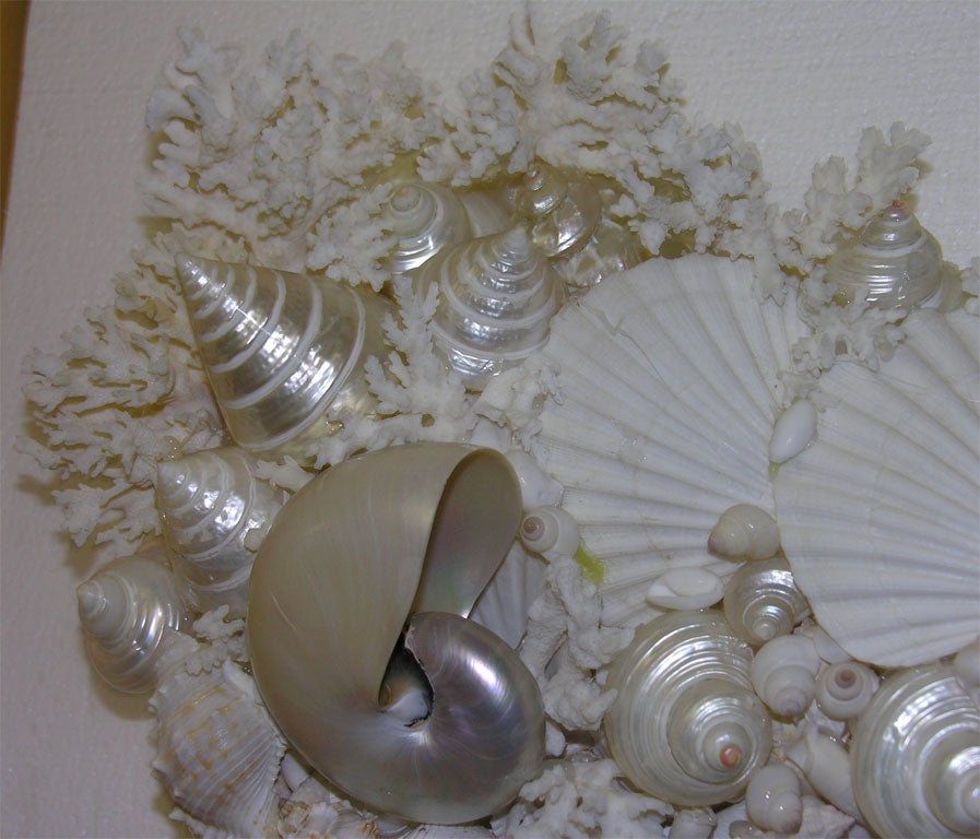 Seashell Mirror by Mongiardino For Sale 5