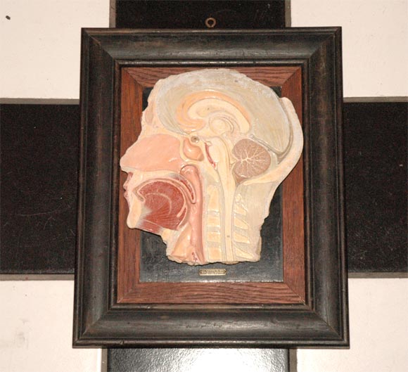 Plaster head on wood frame