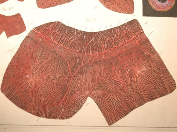 Extremely rare Ophthalmology book 3