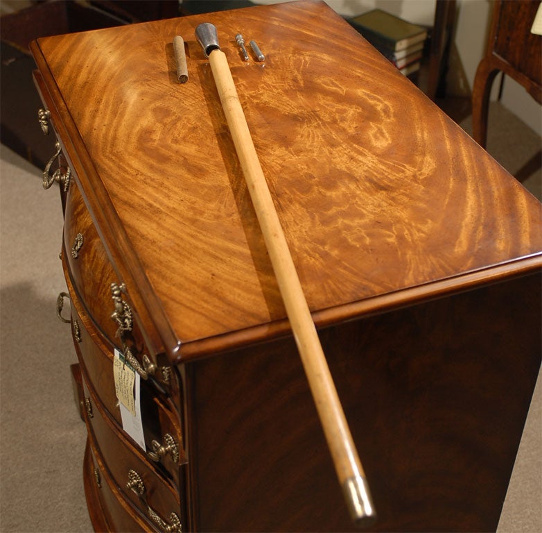 Cigar Gadget Cane/Walking Stock