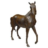 Used Bronze Lifesize Stallion